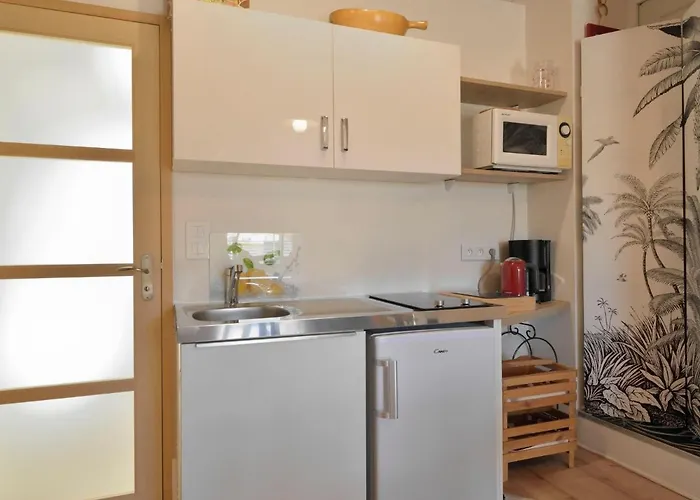 דירה Petit Grain De Cafe By Interhome פיריאק-סור-מר